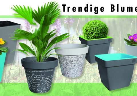 httpsoesterreichliefert.atwp-contentuploadsfluentformff-8c6ac042ef107ae3a166ea0bb06f749d-ff-homezone24-com-slider_garten_3cFGYNFYMDcMWq_1280x1280.jpg httpsoesterreichliefert.atwp-contentuploadsfluentformff-8c6ac042ef107ae3a166ea0bb06f749d-ff-homezone24-com-slider_garten_3cFGYNFYMDcMWq_1280x1280.jpg